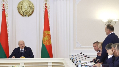 Совещание по вопросам развития свиноводства